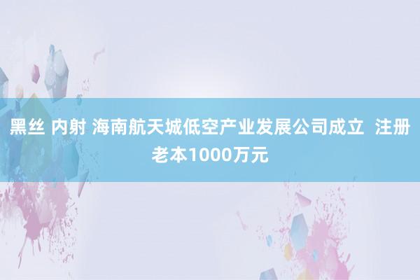 黑丝 内射 海南航天城低空产业发展公司成立  注册老本1000万元