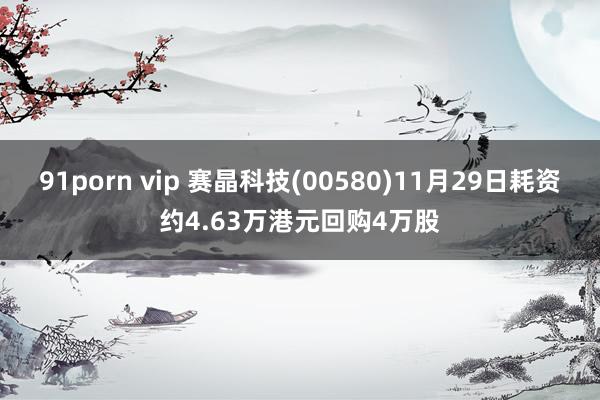 91porn vip 赛晶科技(00580)11月29日耗资约4.63万港元回购4万股